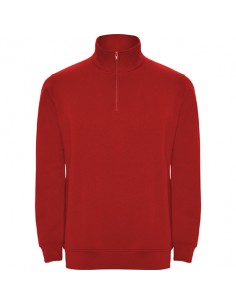 https://www.ropadetrabajo.com: Sudadera media cremallera Unisex Aneto Roly 2